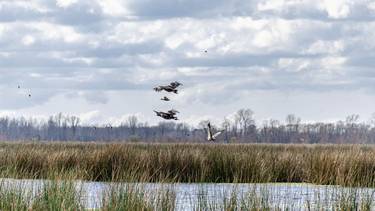 Escapada al Ojo en el Delta del Paraná: ¿Cómo llegar al Parque Nacional a menos de una hora de CABA?